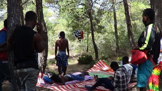 Un groupe de migrants dans une forêt proche de Tanger ©Radio France - Hasna Belmekki