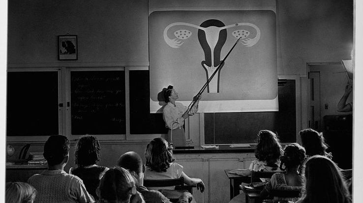 Cours d'éducation sexuelle dans un collège mixte.