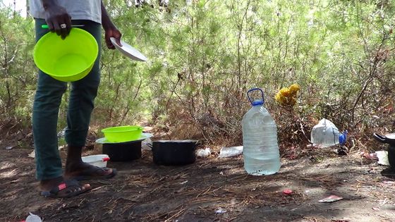 Se cacher dans la forêt de Tanger avant de traverser la Méditerrannée ©Radio France - Sébastien Sabiron