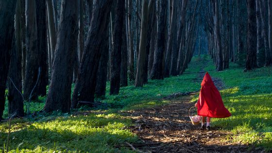 Pour le célèbre éducateur nord-américain Bruno Bettelheim, le conte de fées ne traumatise pas le jeune lecteur, mais répond de façon précise à son angoisse. ©Getty