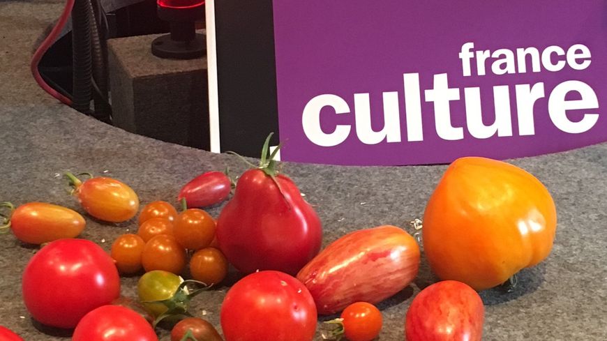 Les tomates de Pascal Antigny pour France Culture