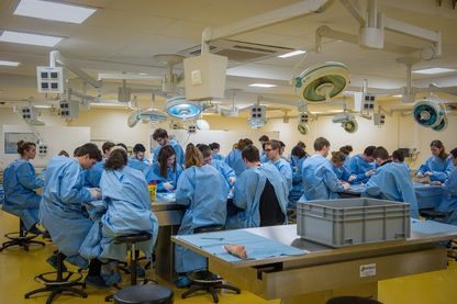 Vers la fin du numerus clausus pour les étudiants en médecine Vers la fin du numerus clausus pour les étudiants en médecine