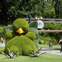 Un poussin pontiesque, à Nantes