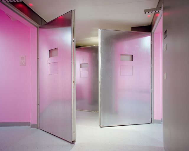 Angélique Stehli, Pink Cells, 2013/2017