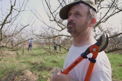Semer, récolter, tailler, labourer, et voir renaitre la confiance en soi. Un documentaire sur les Jardins de Cocagne en Franche-Comté. Semer, récolter, tailler, labourer, et voir renaitre la confiance en soi. Un documentaire sur les Jardins de Cocagne en Franche-Comté.