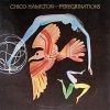 Peregrinations