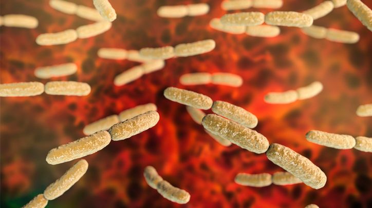 Microbiote : histoires d’un tube