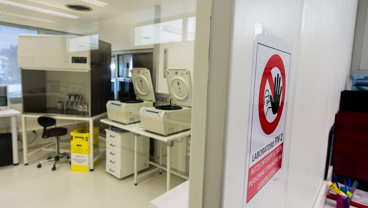 Des lesbiennes dans le bureau Des lesbiennes dans le bureau