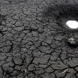 Hot temperatures and deforestation have reduced water level at Los Laureles and Concepcion to 50 percent of their capacity which will soon cause water rationing in the Honduran capital.
