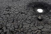 Hot temperatures and deforestation have reduced water level at Los Laureles and Concepcion to 50 percent of their capacity which will soon cause water rationing in the Honduran capital.