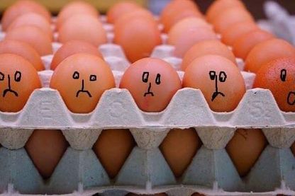 Les oeufs de Carantec Les oeufs de Carantec