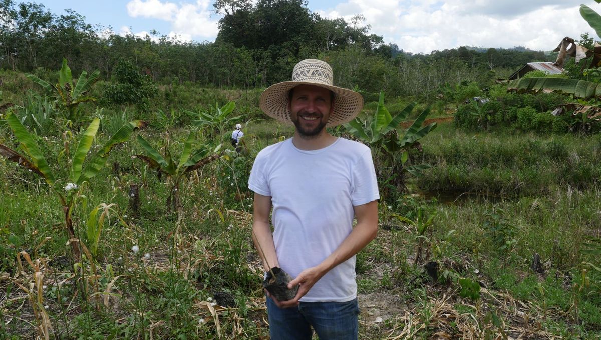 Ecosia Plante Il Vraiment Des Arbres 35+ Luxe Ecosia Page D Accueil