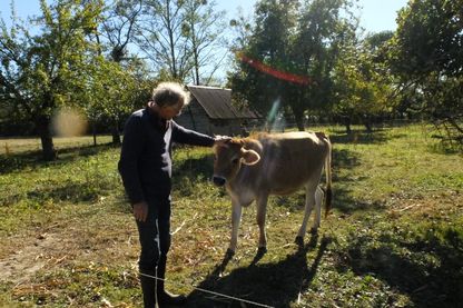 Gabriel Dufils, éleveur dans l'Eure. Gabriel Dufils, éleveur dans l'Eure.