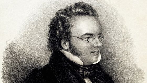 Portrait de Franz Schubert ©Getty - DEA / A. DAGLI ORTI / coll. Agostini