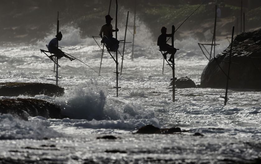 Pêcheurs Sri Lankais, 2017