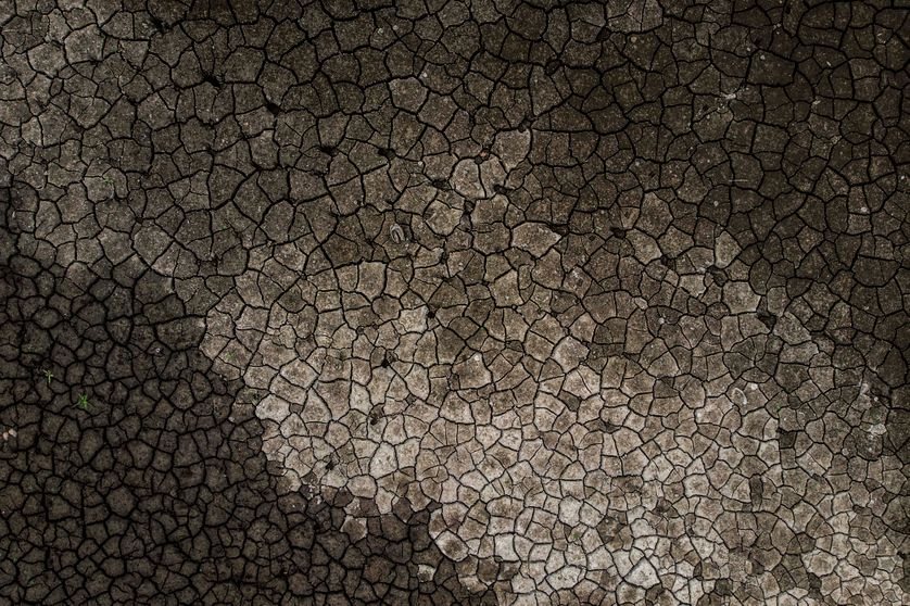 L'un des principaux risques liés au réchauffement climatique : la désertification de régions entières