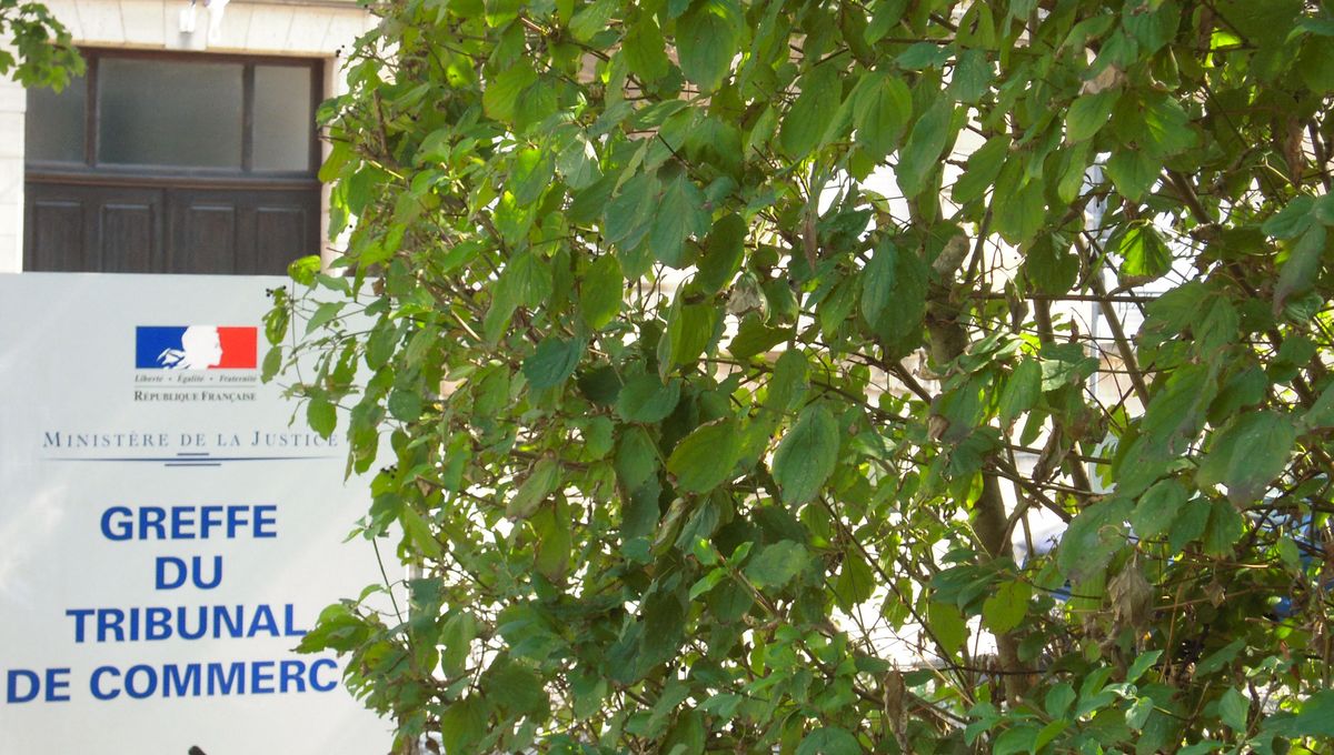 sac de sport femme le coq sportif