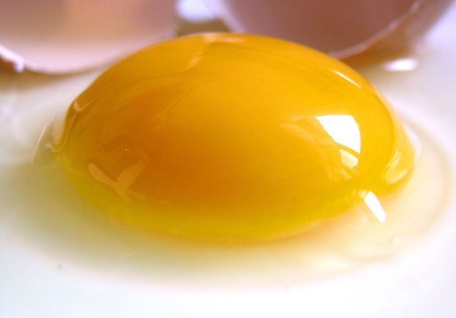 Oeuf