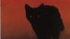 The Cat