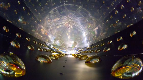 Expérience de neutrinos de Daya Bay - CC