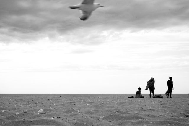 Vincent Delerm, pour Planche(s) Contact 2018, Deauville (2)