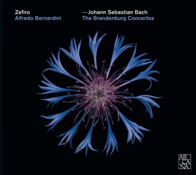 Les Concertos brandebourgeois par l'Ensemble Zefiro et Alfredo Bernardini