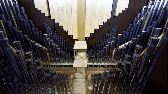 Orgue Grenzing de Radio France : tuyaux ©Radio France - Christophe Abramowitz