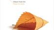 Bach : Cantates BWV 4, 79 et 80, PHI