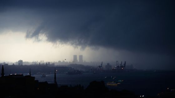 L’environnement et ses altérations peuvent en partie expliquer la survenue d’événements sociaux avec leurs effets directs dans les domaines politiques, économiques et financiers. ©Getty