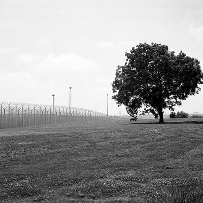 Barbelés du tunnel sous la manche à Calais