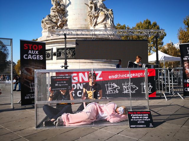 Des militants anti-cages place de la République à Paris