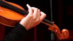 Violon © C.L