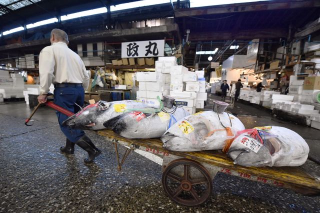Un commerçant dans le marché de Tsukiji, transportant du thon.