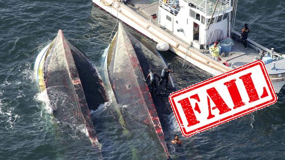Deux bateaux de pêche renversés après une collision avec un navire, en février 2013 au Japon. ©AFP - HIROTO NOMOTO / YOMIURI / THE YOMIURI SHIMBUN