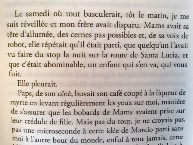 Pense aux pierres sous tes pas, chap. 4, La disparition (éd. Verdier)