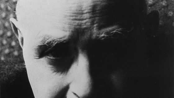 Albert Cohen photographié en 1981 ©Getty - Ulf Andersen