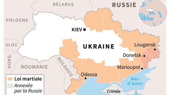 Nouvelle crise entre Kiev et Moscou, l'Ukraine adopte la loi martiale aux frontières ©AFP - SÉBASTIEN CASTERAN, PAZ PIZARRO