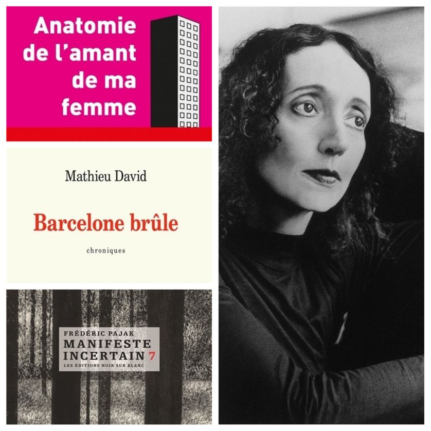 Joyce Carol Oates L Homme Sans Ombre Littérature : Raphaël Rupert, "c'est un roman qui fait semblant de