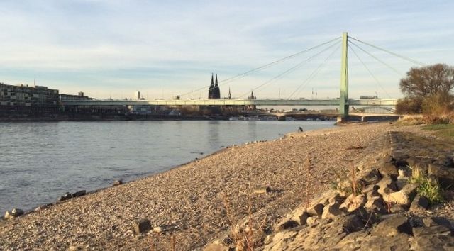 Avec un niveau d'eau d'1,15 mètre à Cologne, les bateaux de croisière touristique restent pour la plupart à quai