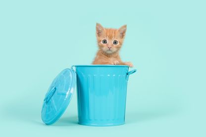 Réduire ses emballages au maximum et tenter le "zéro déchet" Réduire ses emballages au maximum et tenter le "zéro déchet"