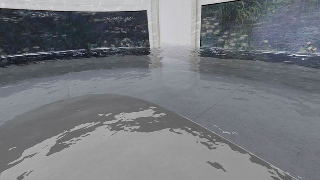 Capture d'écran - "Monet ou l'obsession des Nymphéas"