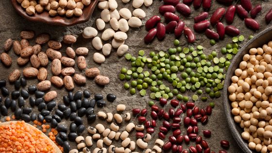 Légumes secs (ou légumineuses) : lentilles, fèves, haricots, pois chiches, pois cassés, petits pois... ©Getty - Janine Lamontagne