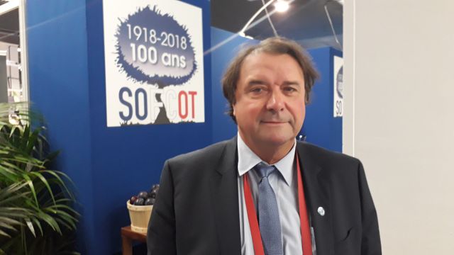 Jean-Luc Moyat, président de l’association des fabricants importateurs distributeurs européens d’implants orthopédiques et traumatologiques (Afideo)