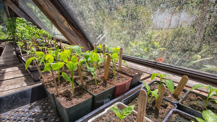 Les Chassis Economiques