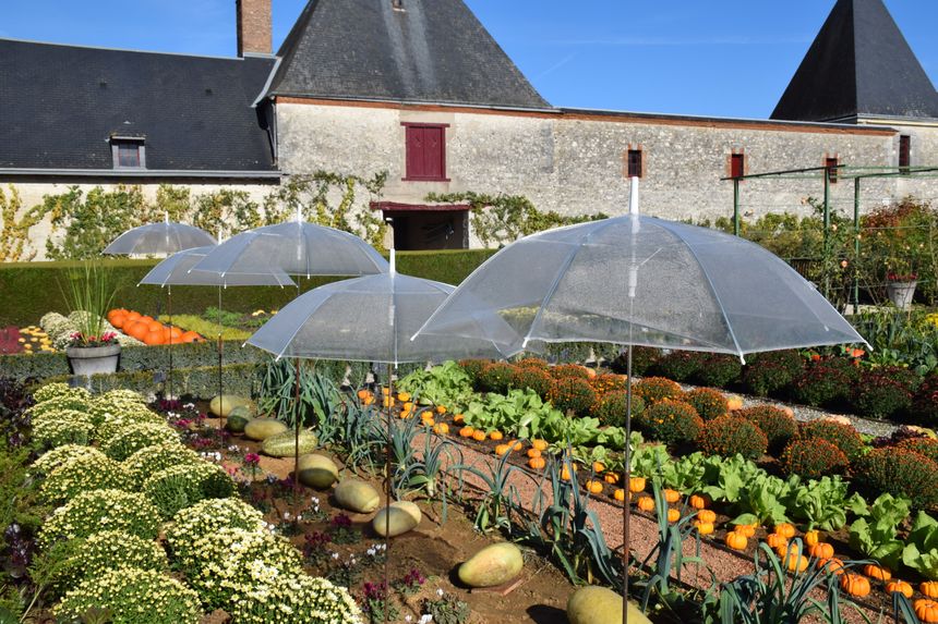 Jardin Bouquetier-CdeVibraye