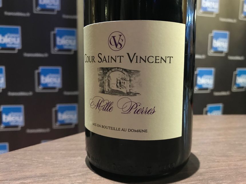 Le Domaine Cour Saint-Vincent en Grés de Montpellier, une alliance bio de vieux Carignan, de Syrah et de Grenache
