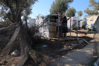 Des Afghans dans la jungle de Lesbos construisent leur abri Des Afghans dans la jungle de Lesbos construisent leur abri
