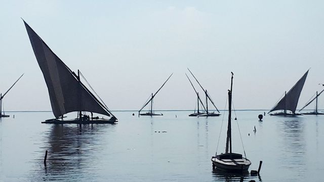Felouques sur le delta du Nil