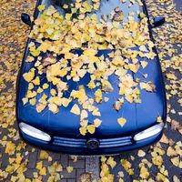 Les feuilles d'automne recouvrent une voiture Volkswagen garée. Photo prise le 8 novembre 2018 à Hanovre, dans le nord de l'Allemagne.