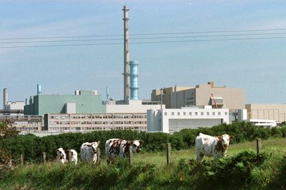 Vue générale de l'usine de retraitement de la compagnie générale des matières nucléaires (COGEMA) à La Hague, le 10/07/1997. Vue générale de l'usine de retraitement de la compagnie générale des matières nucléaires (COGEMA) à La Hague, le 10/07/1997.